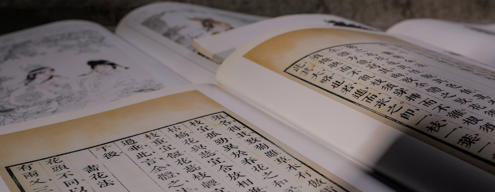 Informative Calligraphy Books